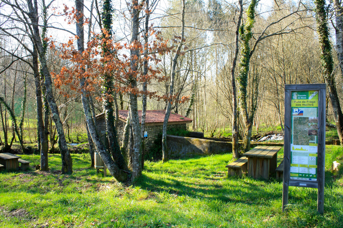 Familiar_Mesia_FragaMuinos_IMG_6035.JPG